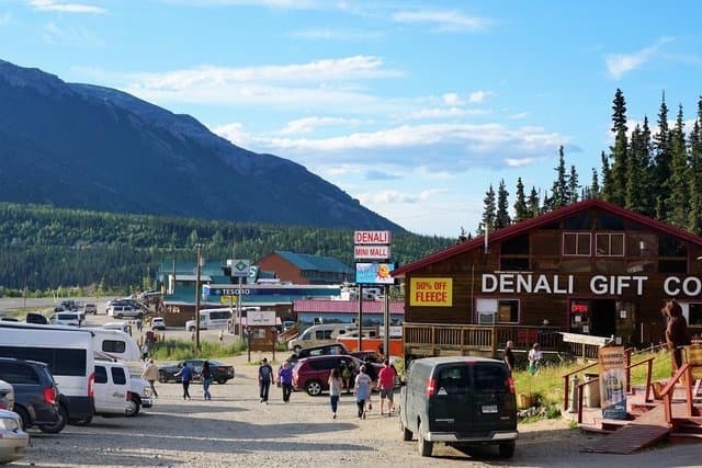 Denali Tour Company’s Scenic Anchorage to Denali Transfer