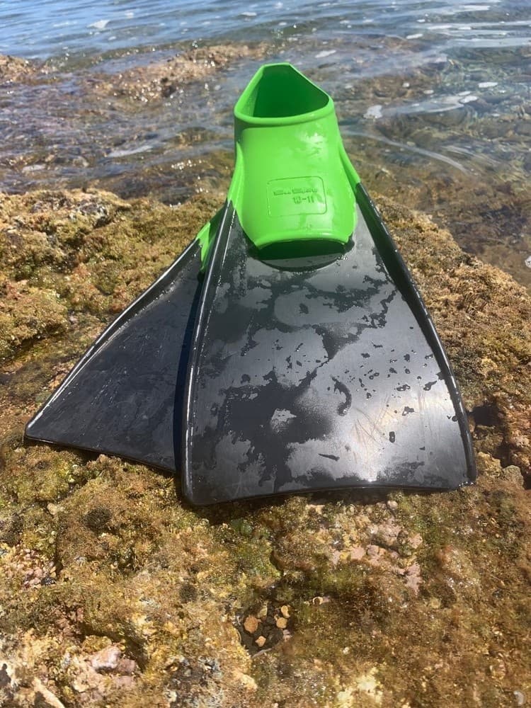 Snorkel Fins Only: Explore Hanalei’s Vibrant Waters