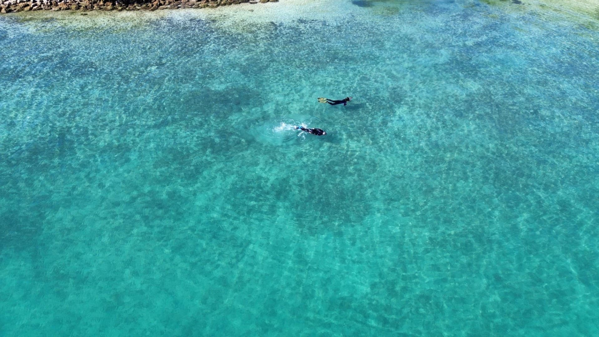 Paddle and Snorkel: Oleta River Kayak Tour to Sandspur Island
