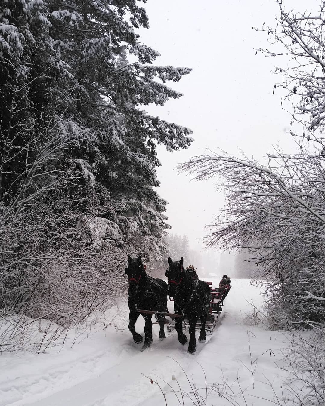 Experience Enchanting Winter Sleigh Rides at Eagle Creek Ranch in Leavenworth