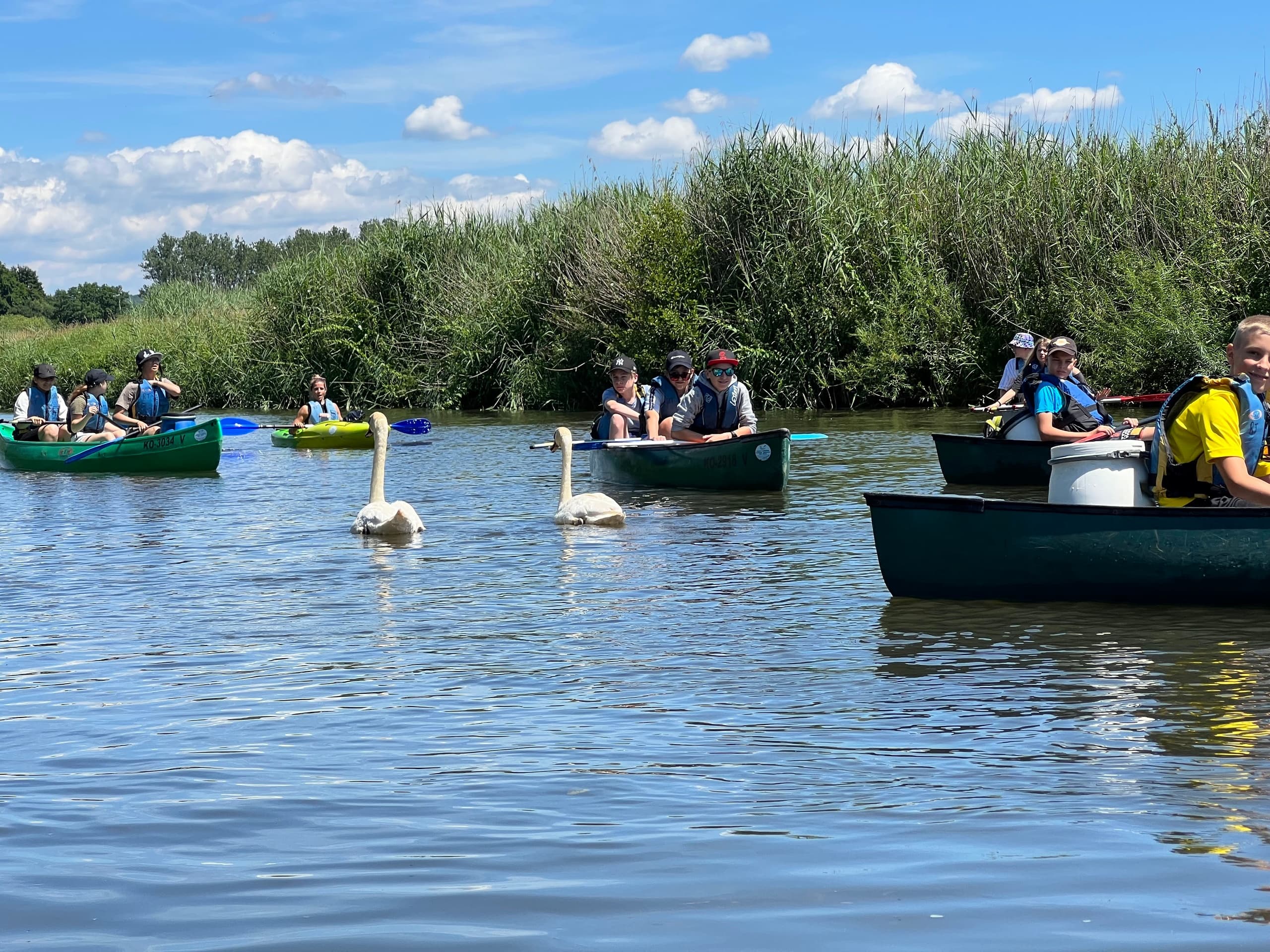 Water Activities: Weilburger Touristikbetriebe's Scenic Canoe Journey