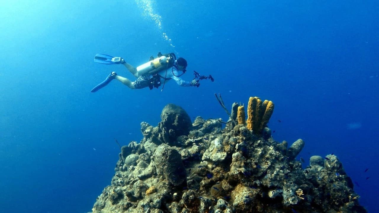 Scuba diver swimming above coral reef in blue ocean