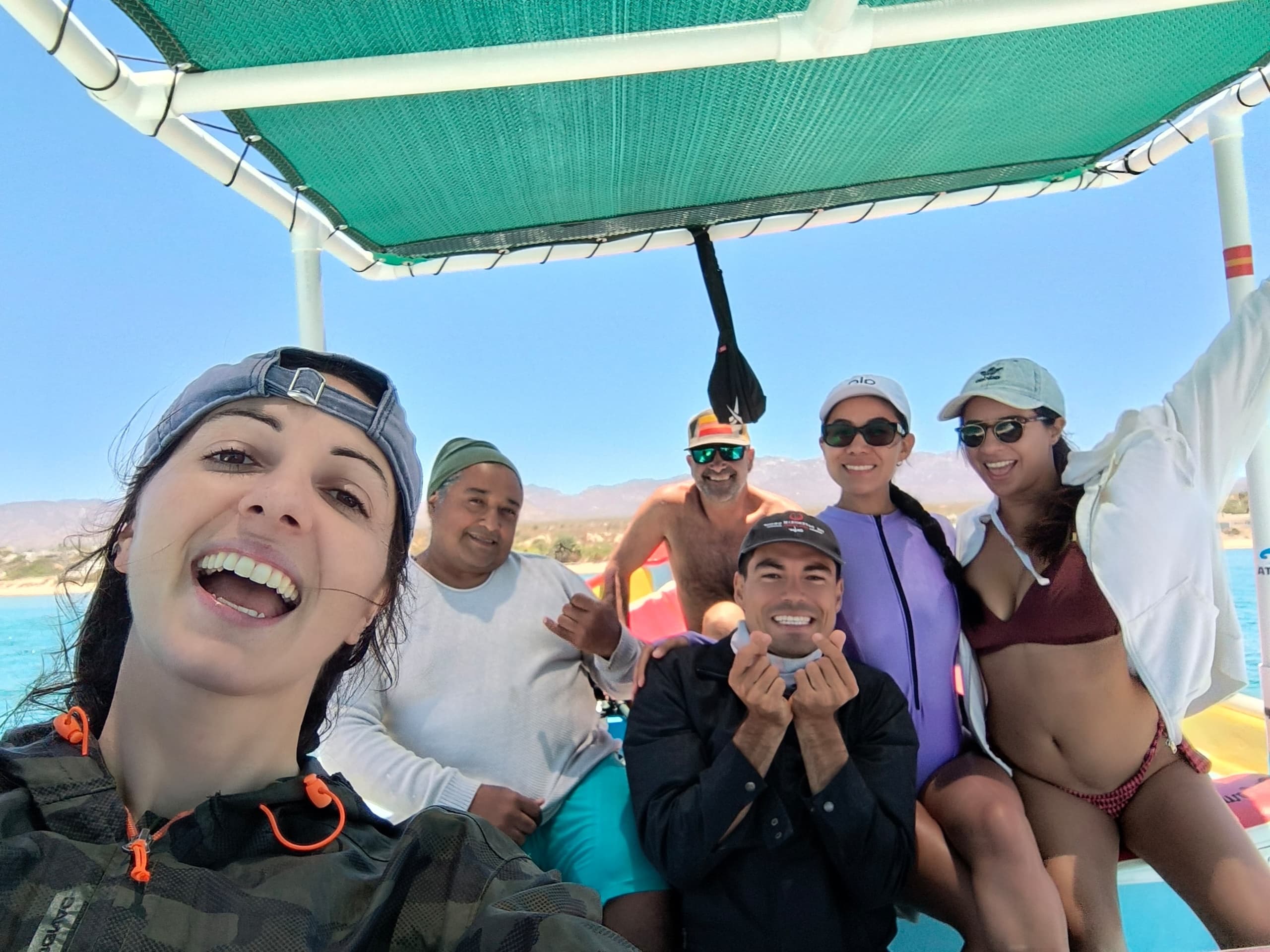 Sea Safari Cardonal: Snorkel with Mobula Rays, Dolphins, and Whales off Isla Ceralvo
