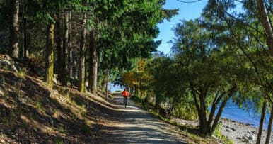 Explore Queenstown’s Trails with e-Bike Hire: Half-Day to Multi-Day Adventures