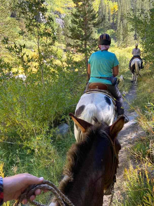 Willow Camp Ride: Family-Friendly Horseback Along Bishop Creek