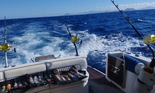 Unforgettable 3-Hour Fishing Adventure from Playa Blanca’s Shores
