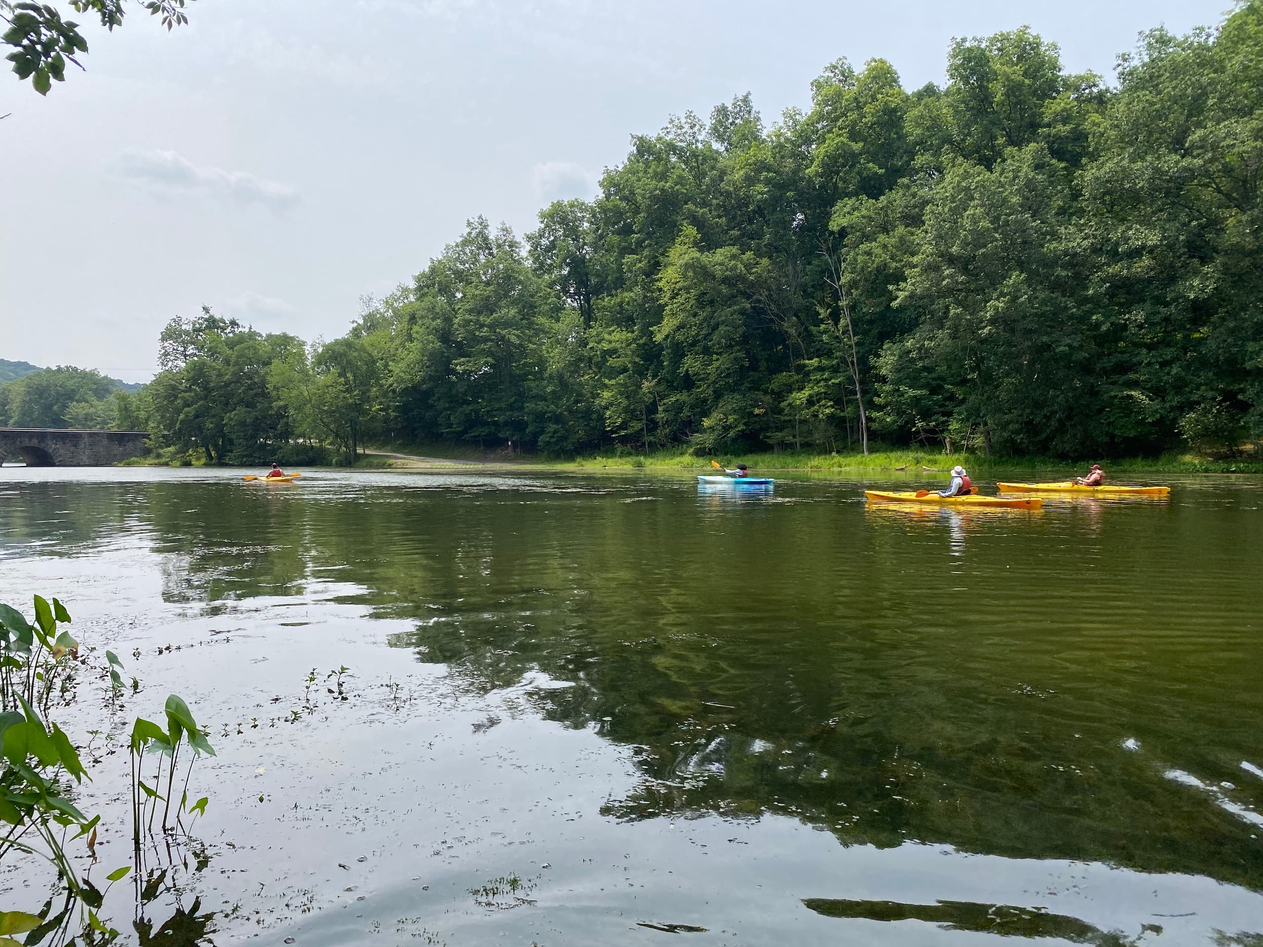 Kayaking Adventure at North Park with Venture Outdoors