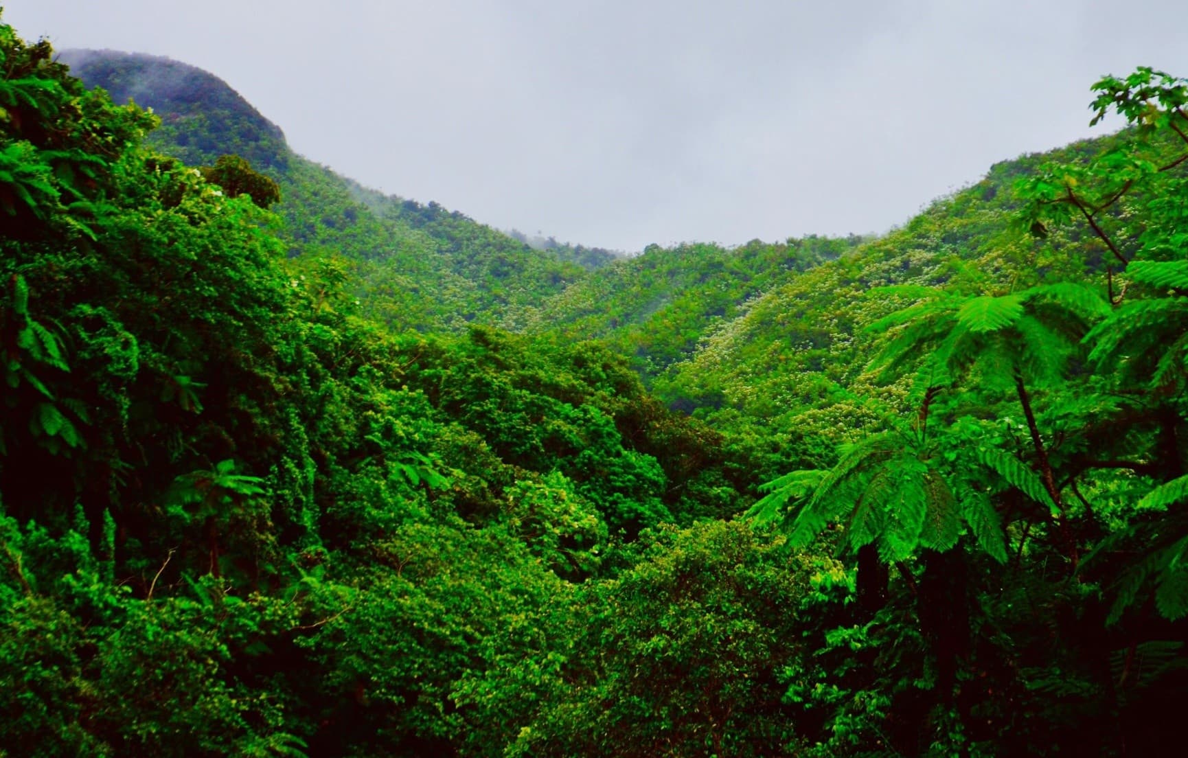 Soar Above Liberia: Ultimate Canopy Adventure Pass - 10 Ziplines in Guanacaste