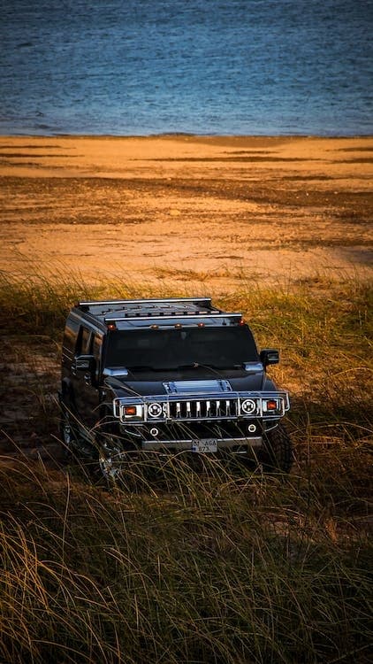 4x4 SUV driving through tall grass near coastal dunes at dusk