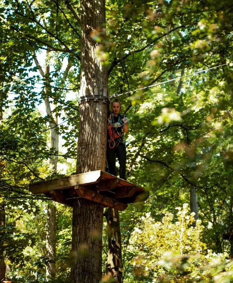 Soar Above Liberia: Ultimate Canopy Adventure Pass - 10 Ziplines in Guanacaste photo 2