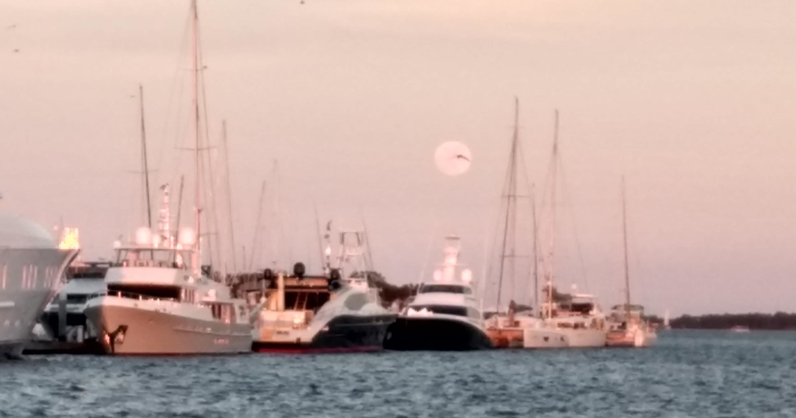 MoonLight Sail