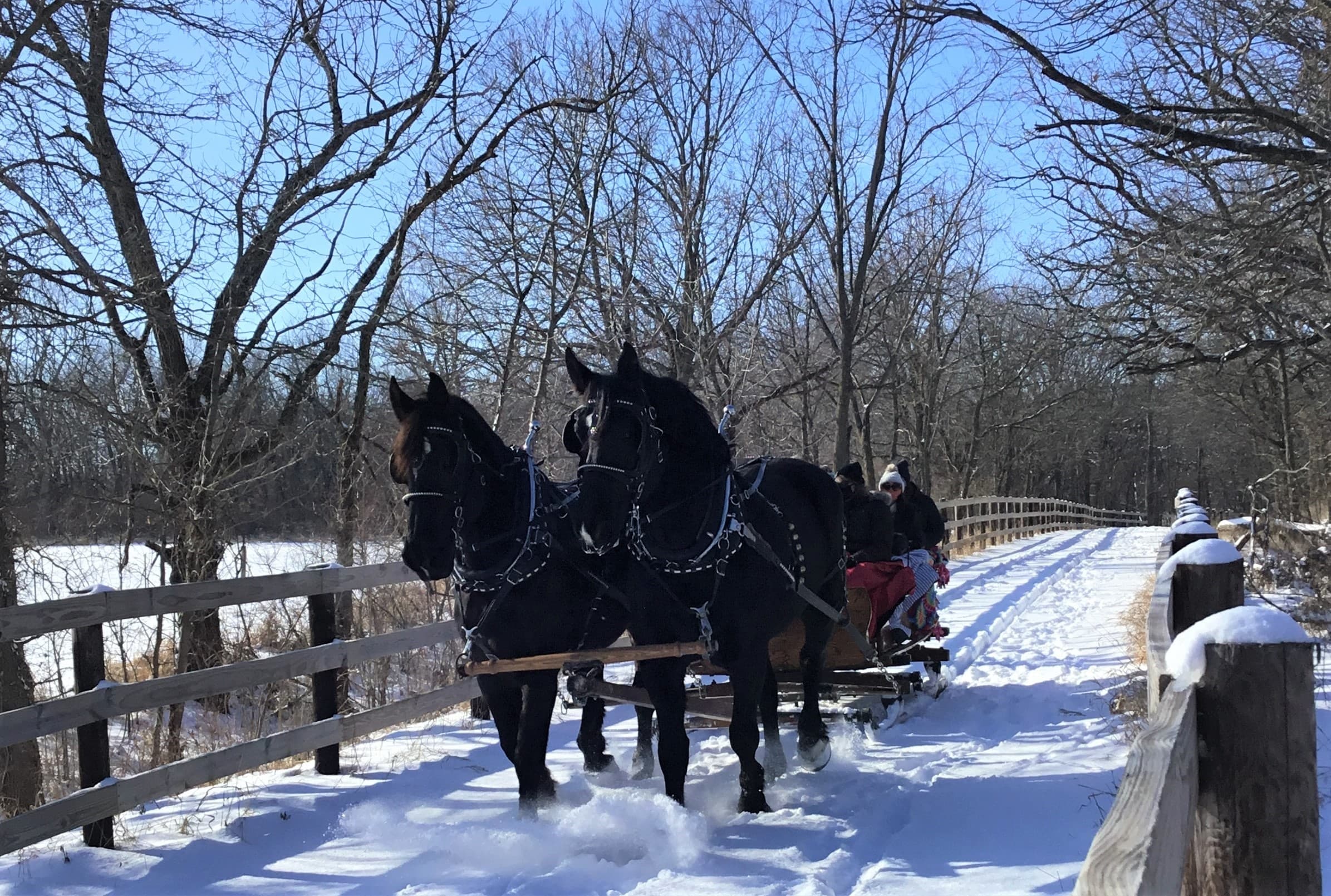 Holiday Horse-Drawn Rides at Jester Park Equestrian Center