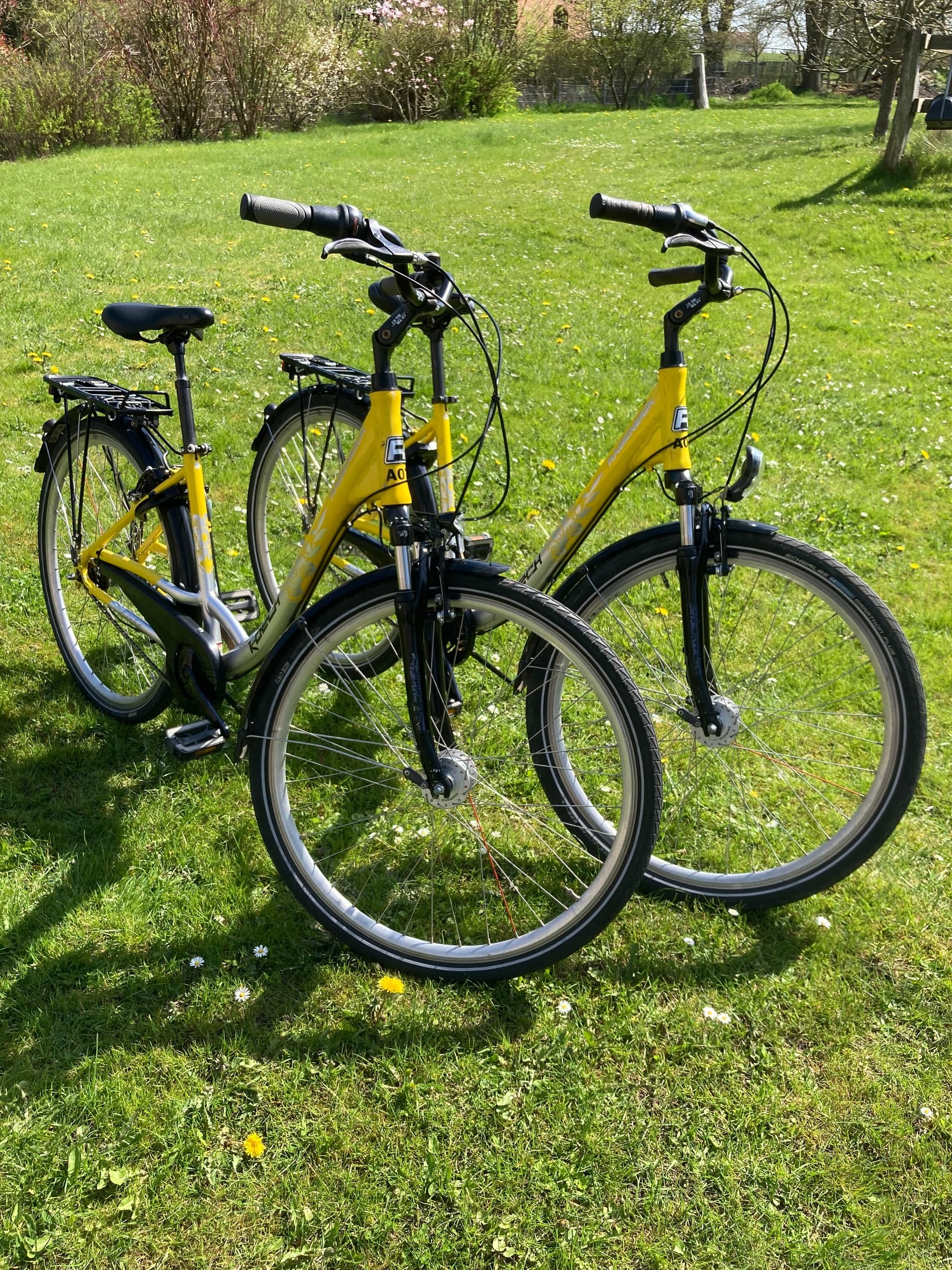 Cycling Adventures at Koech Kanu Center in Ratzeburg