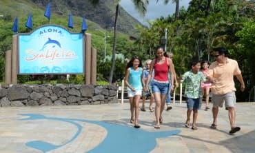 Discover Sea Life Park in Waimanalo, Hawaii