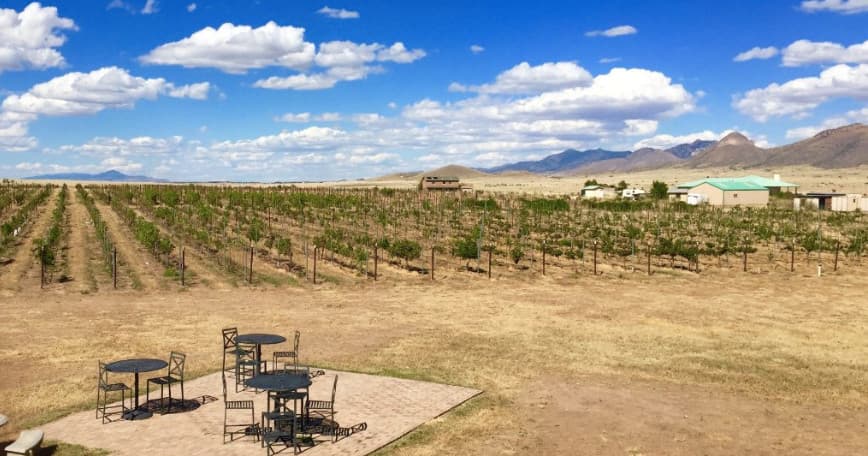 Sonoita Wine Country Shuttle: Relaxed 3-Stop Wine Tours from Tucson