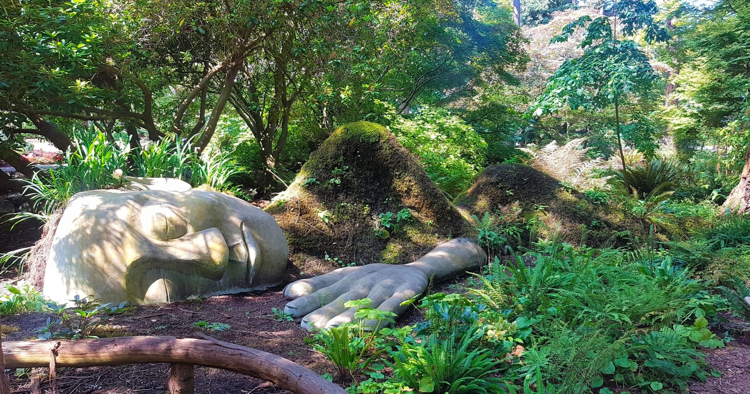 Forest sculpture and serene woodland trail for outdoor exploring