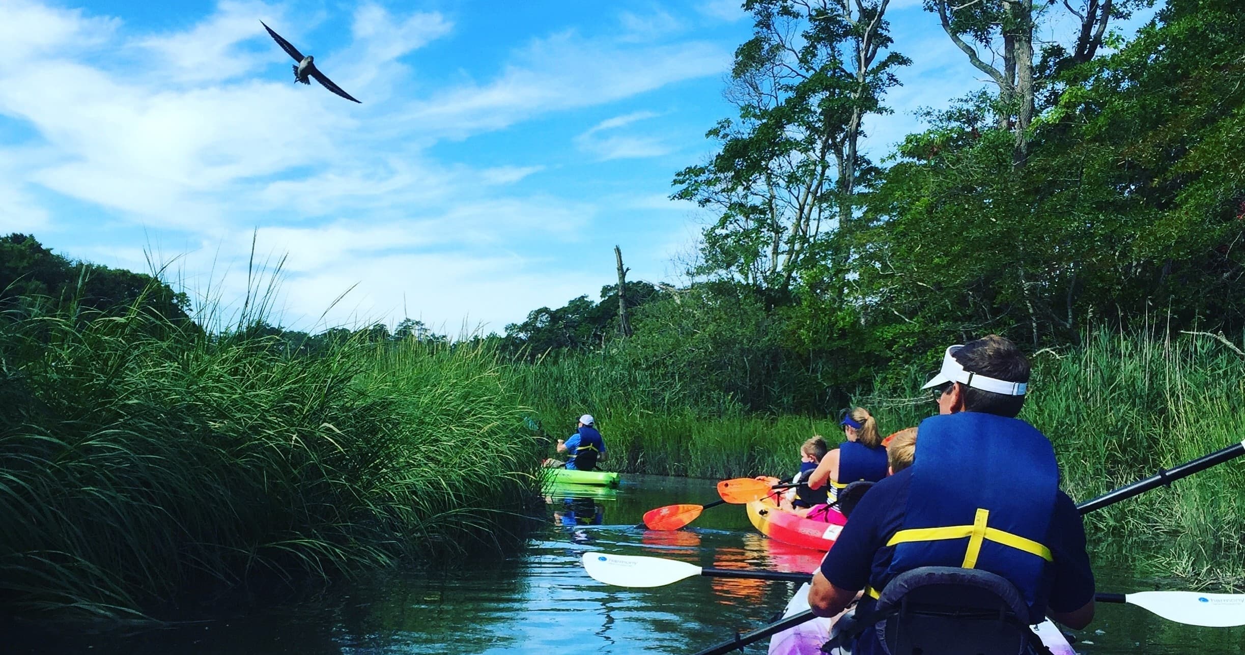 Kayak the Creek with RideAway Adventures in Sandwich
