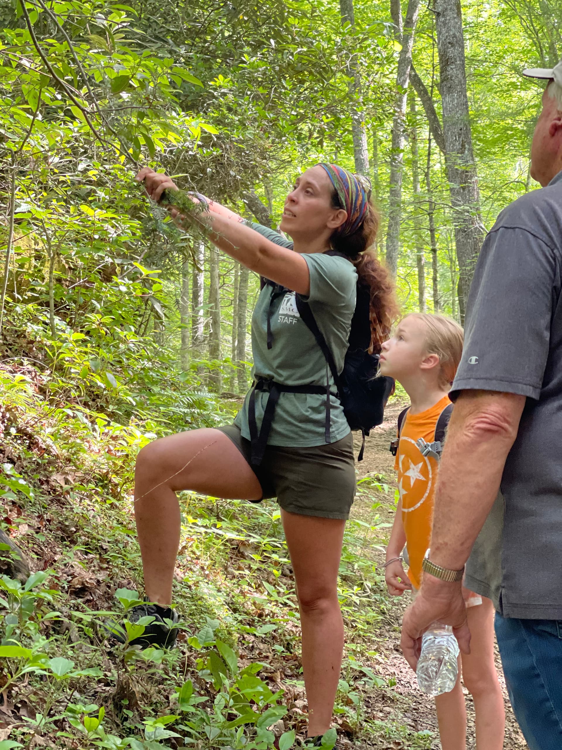 The Mountaineers Way Hike with Smoky Mountain Guides