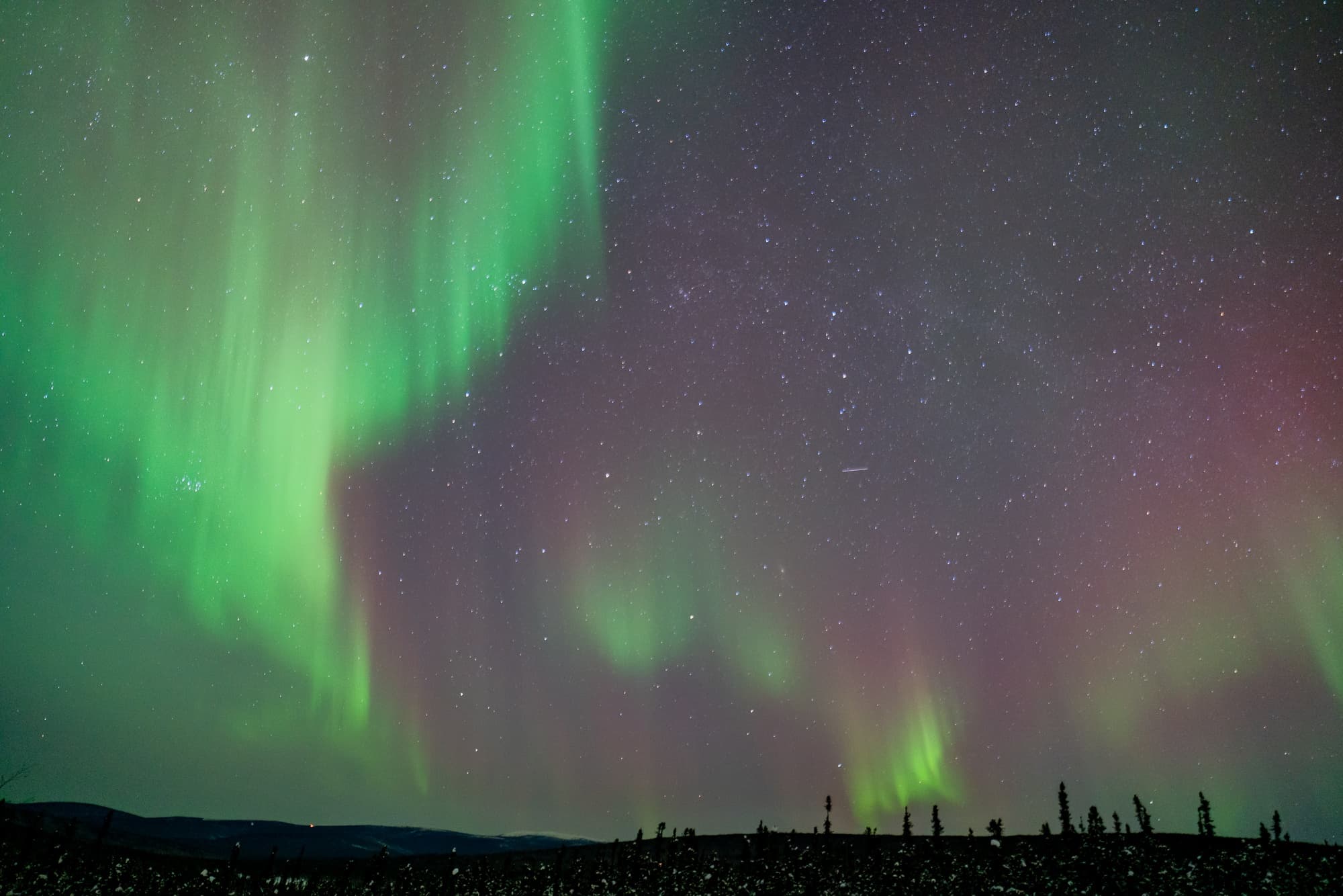 Northern Lights & Arctic Circle Tour with Greatland Adventures from Anchorage