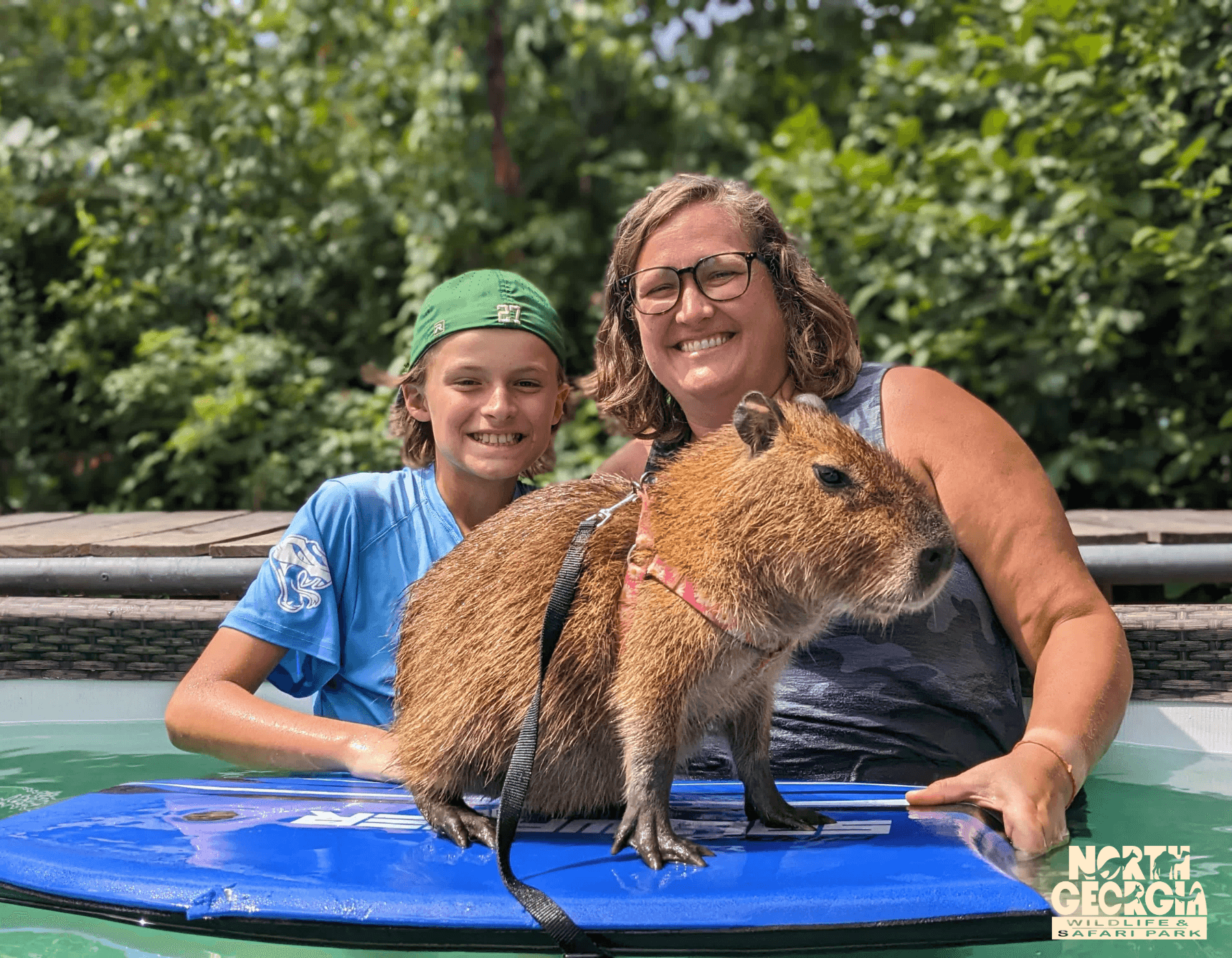 Capy Splash at North Georgia Wildlife & Safari Park in Cleveland
