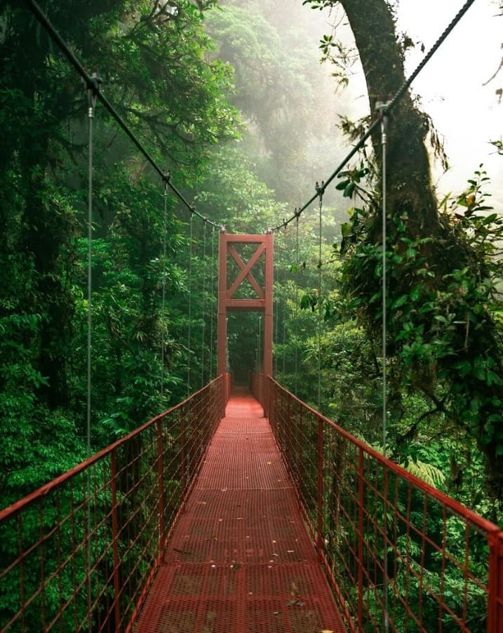 Rainforest Explorer Pass: Family Zipline Adventure Near Liberia, Costa Rica