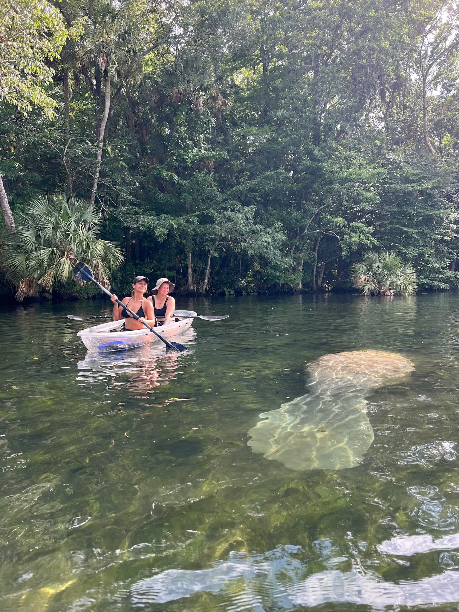 Get Up and Go Kayaking - The Chaz fleet