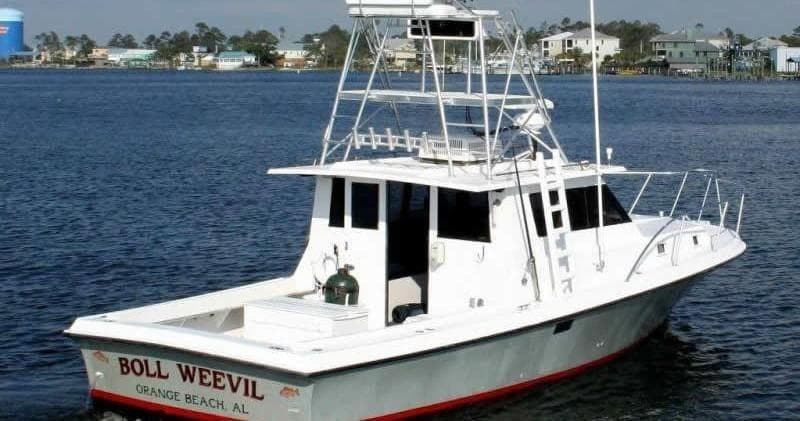 Fishing Charters at Zeke's Landing Marina in Orange Beach