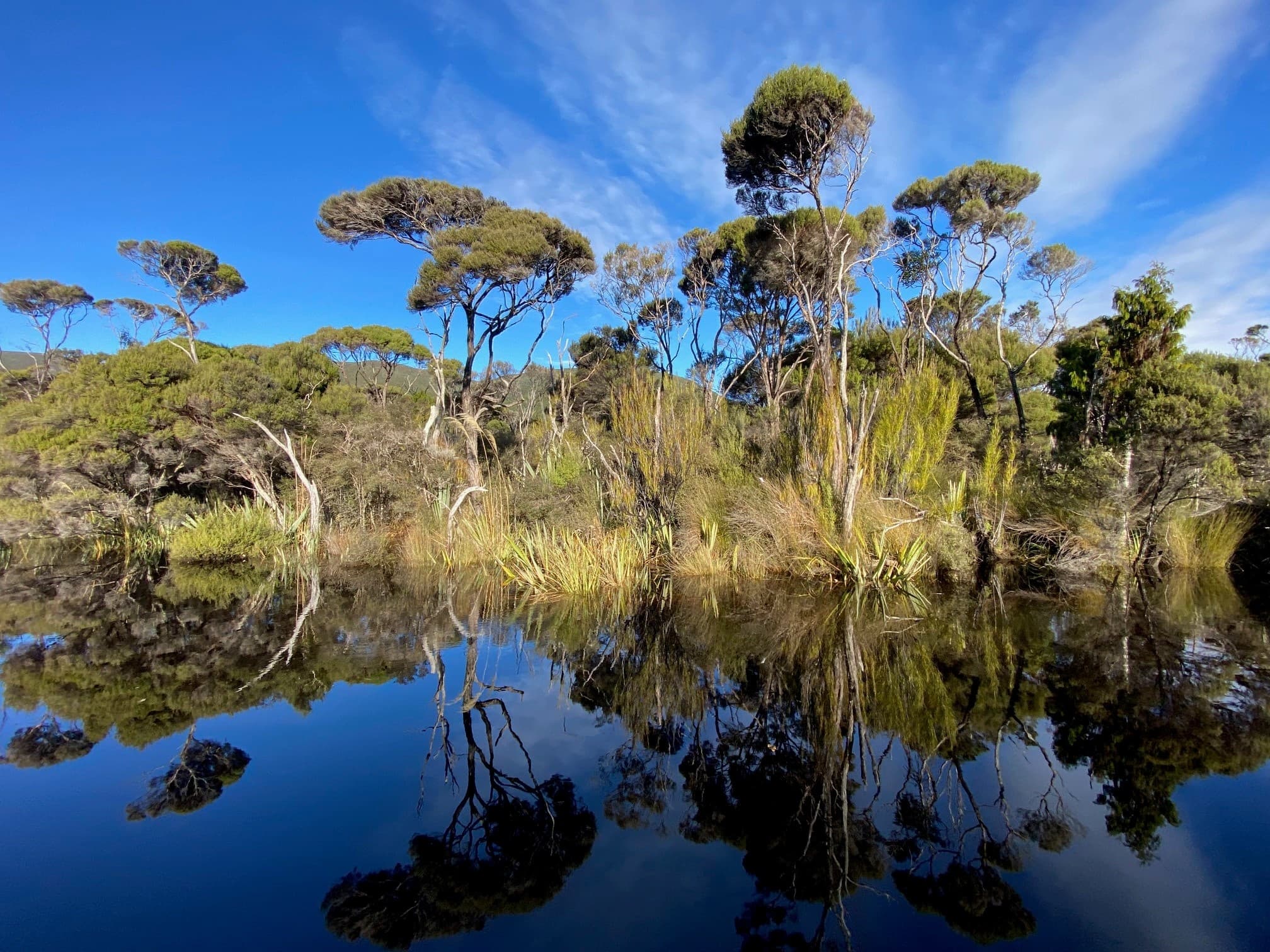 Water-activities & Rakeahua River Hut Watertaxi | Rakiura Adventure Ltd