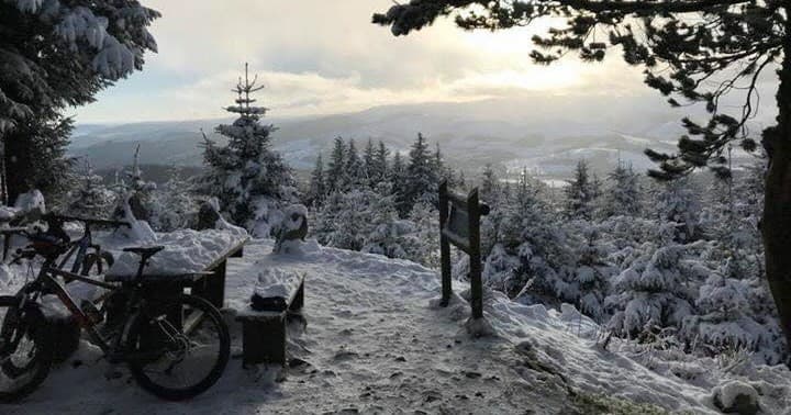 Snowy forest trail with bicycles parked, winter mountain ride