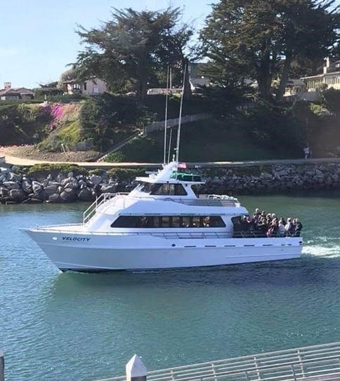 Deep Sea Half Day Cod Fishing Adventure in Monterey Bay