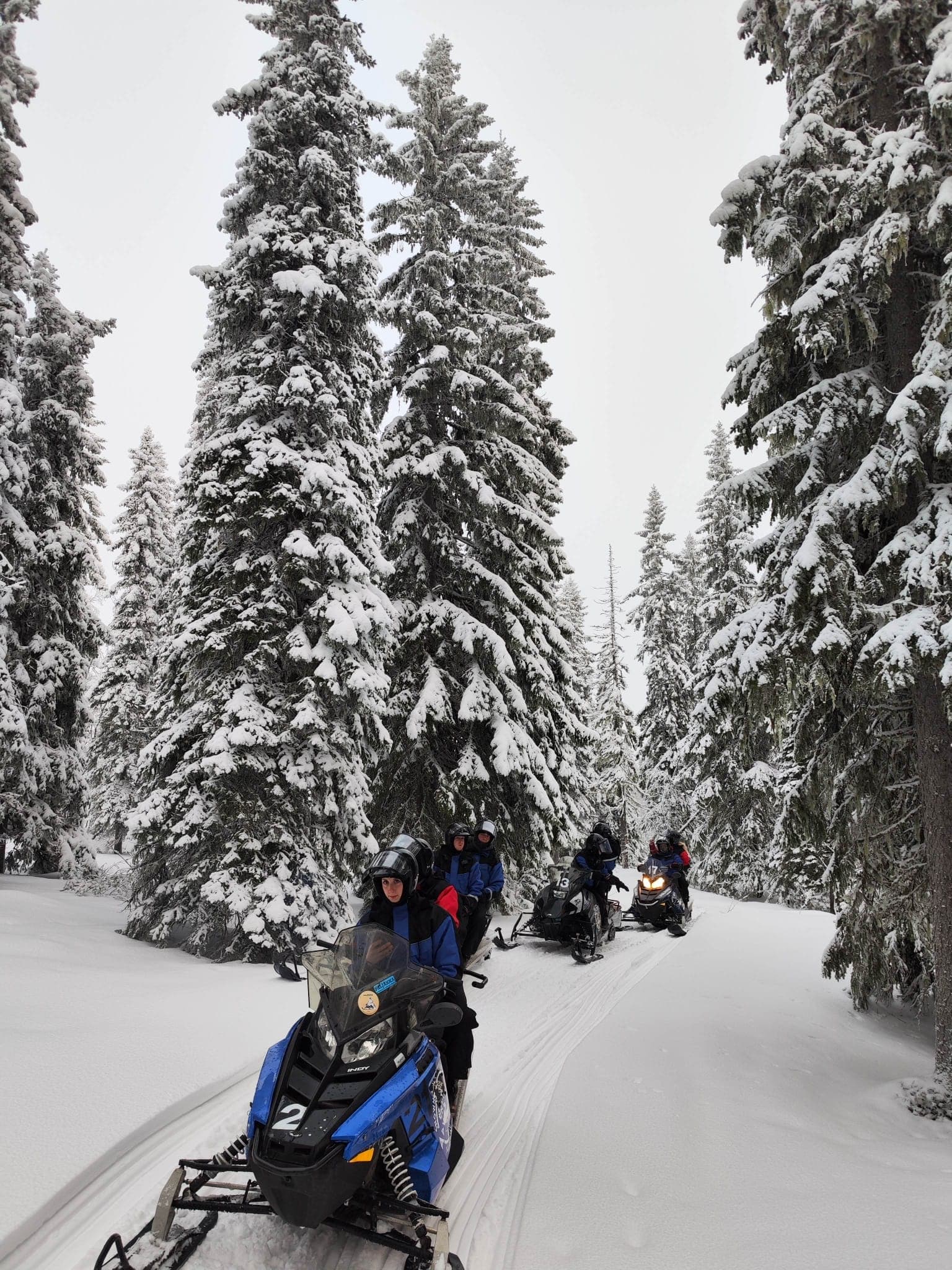 Snowmobile Safari in Kainuu: 3-Hour Guided Snowmobile Tour from Ukkohalla