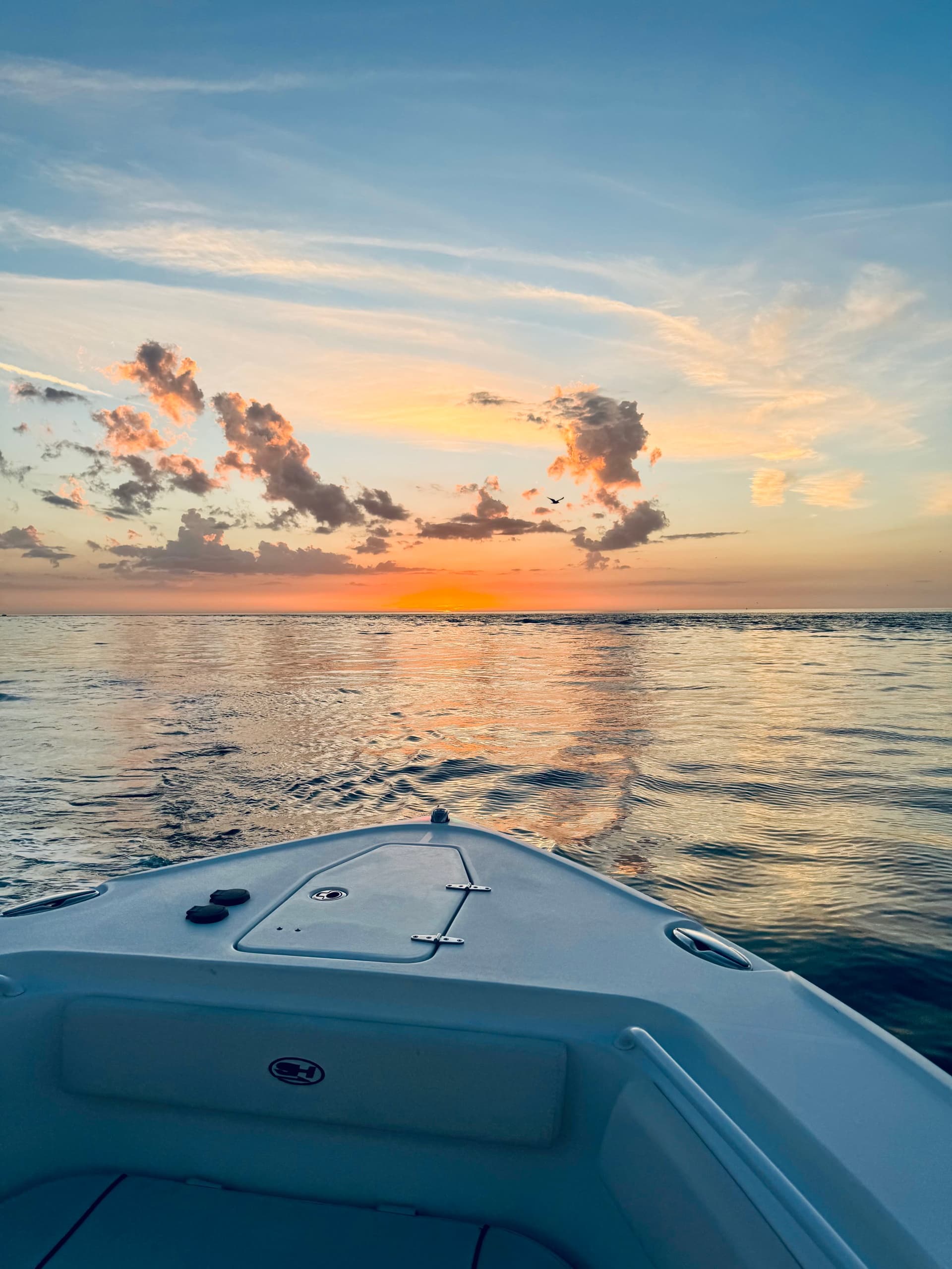 Multi-Day Boat Rentals at Anna Maria Island: Self-Drive Sea Hunt Adventures photo 4
