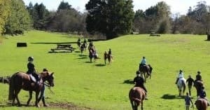 Guided group horseback riding across expansive green pasture field