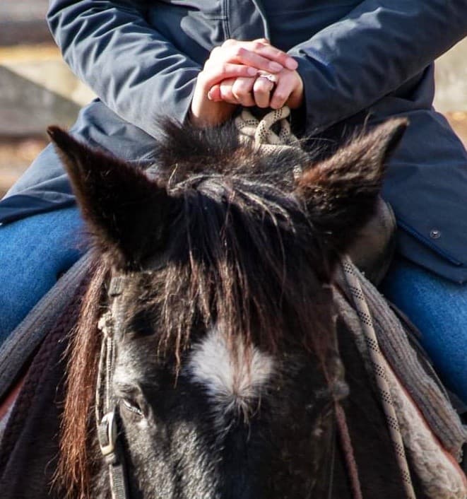 Slow Ride Through Fort Valley: Proposal Ride on Shenandoah Trails