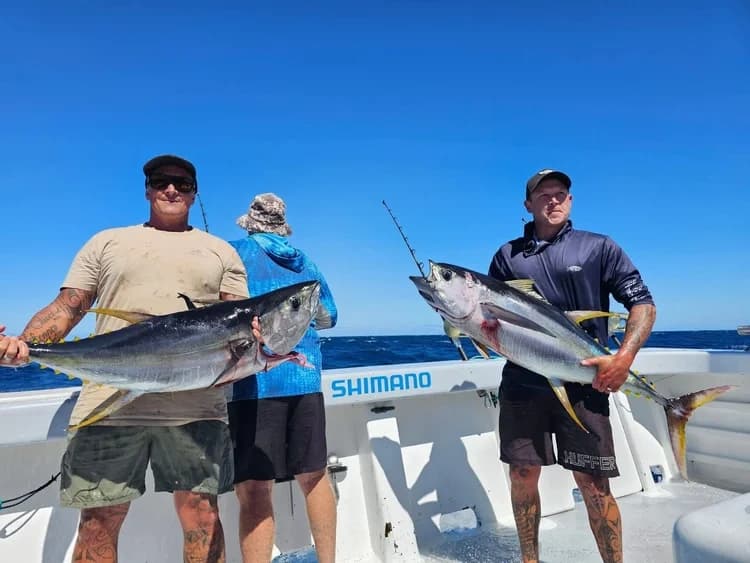 Three Kings Big-Game Fishing: Waihau Bay Bluefin & Kingfish Offshore Adventure