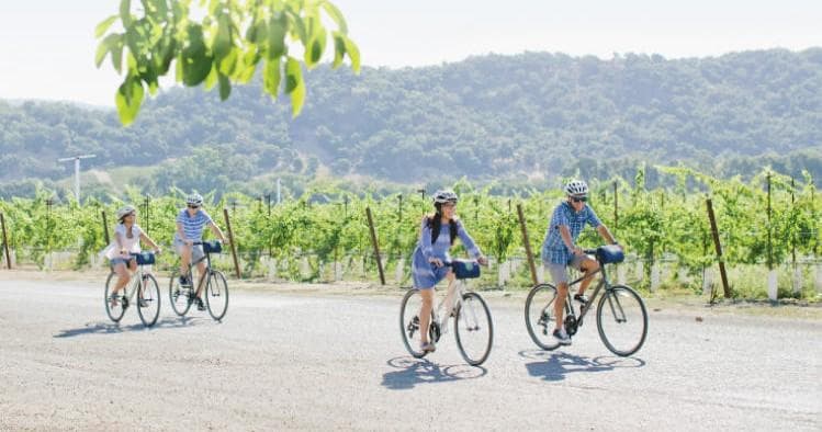 Full-Day Napa Valley E-Bike Tour