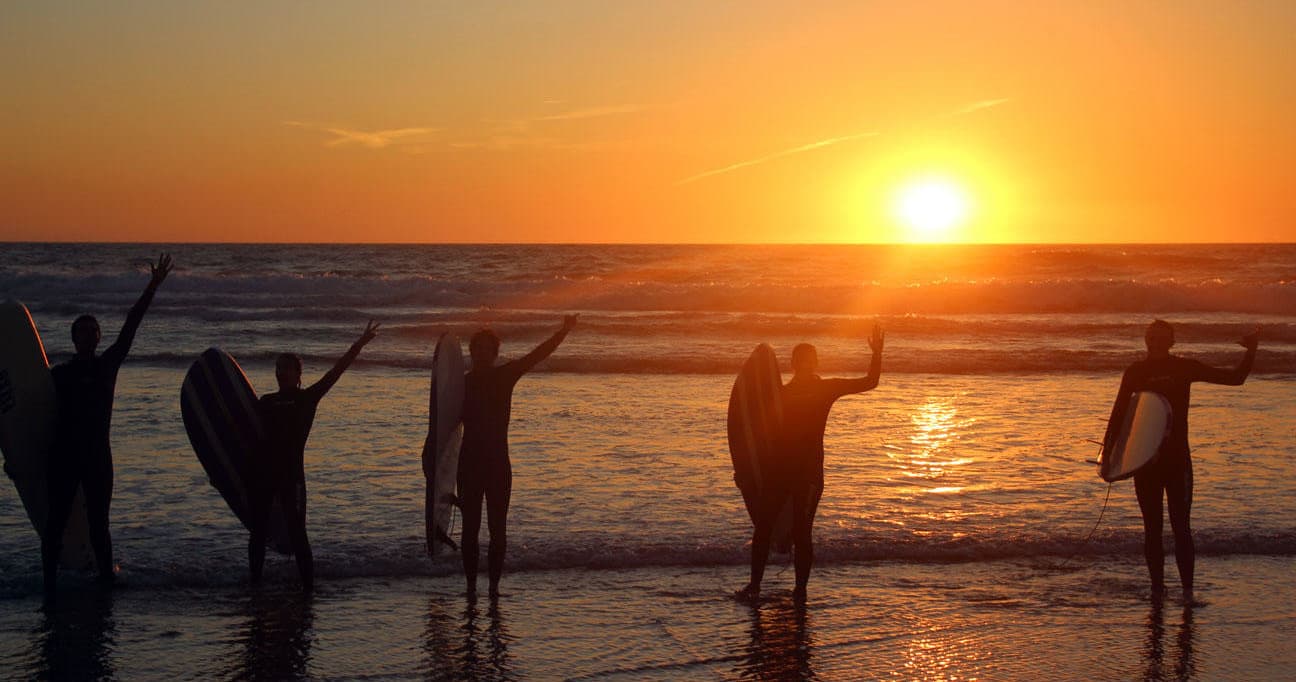 Silhouetted surfers holding boards at sunset on ocean shoreline
