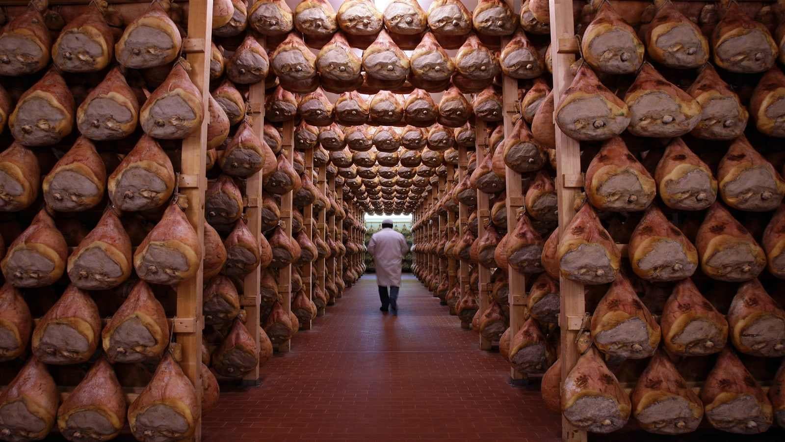 Parmigiano & Parma Ham Tour with Bologna Tour