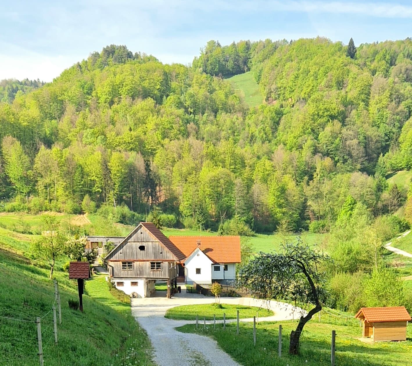 Idyllic rural Slovenian valley with traditional farmhouse and road