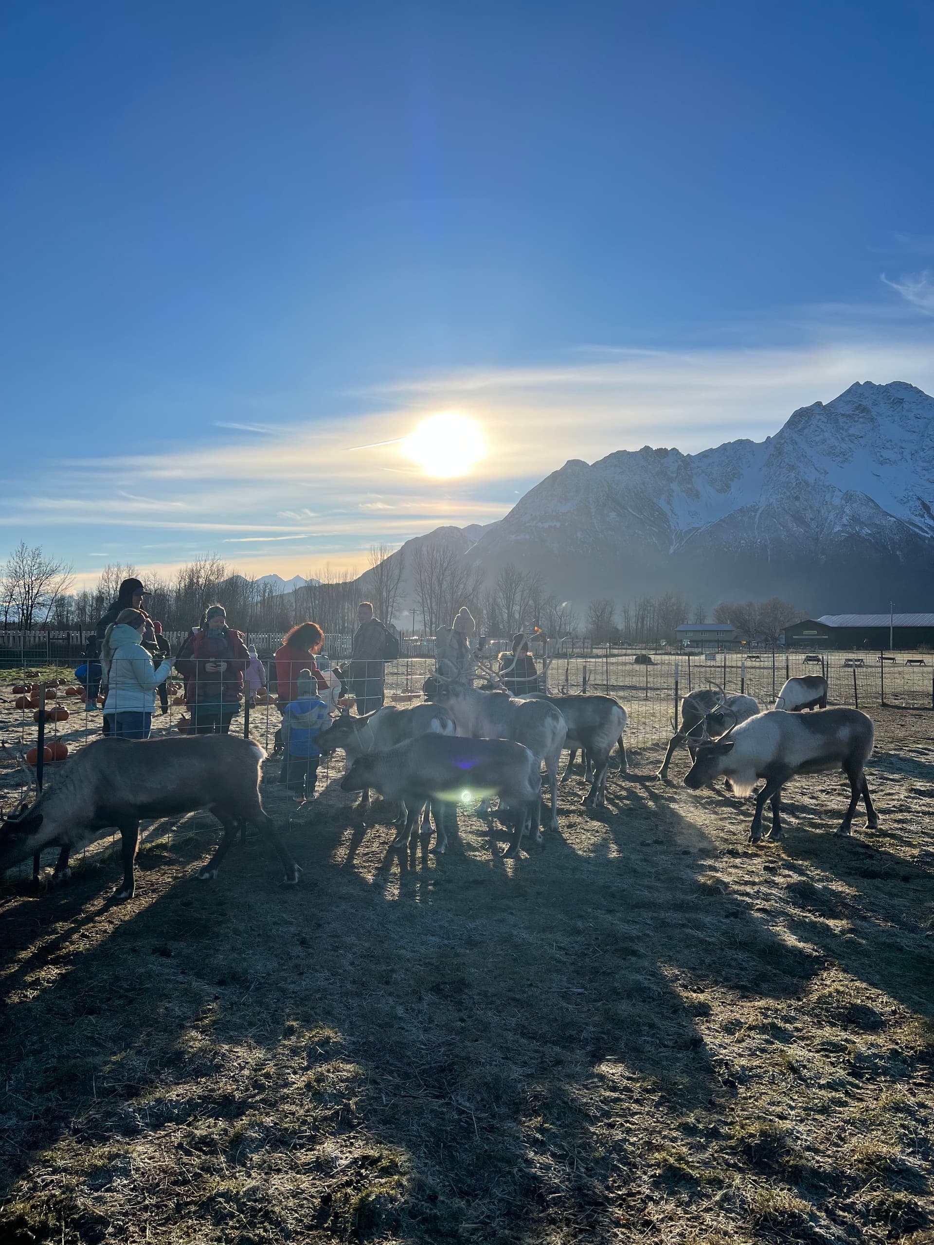 Land Adventures at Reindeer Farm: Summer Outdoor Fun