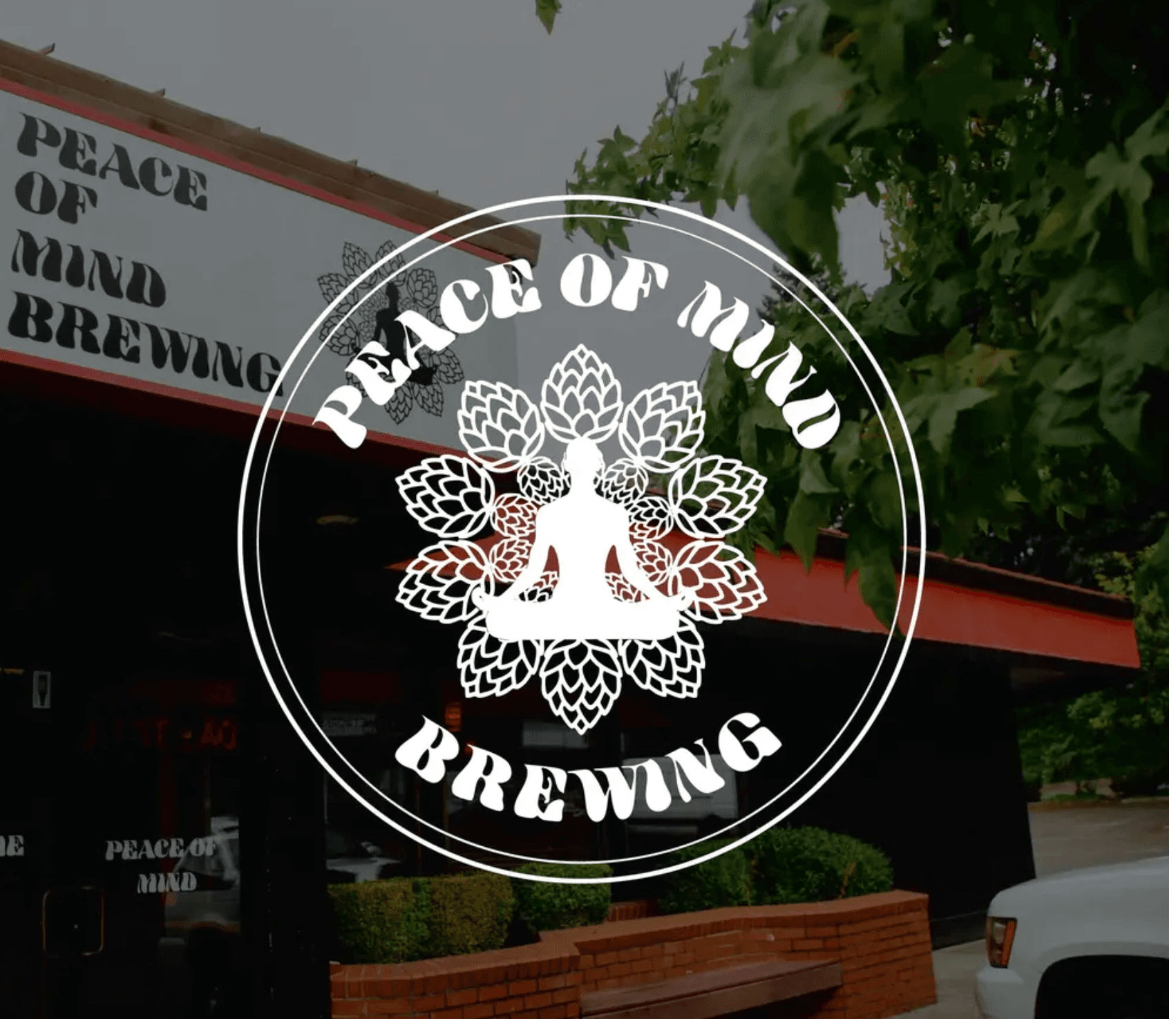 Bonsai Bar at Peace of Mind Brewing — Lynnwood Two-Hour Bonsai Workshop photo 1