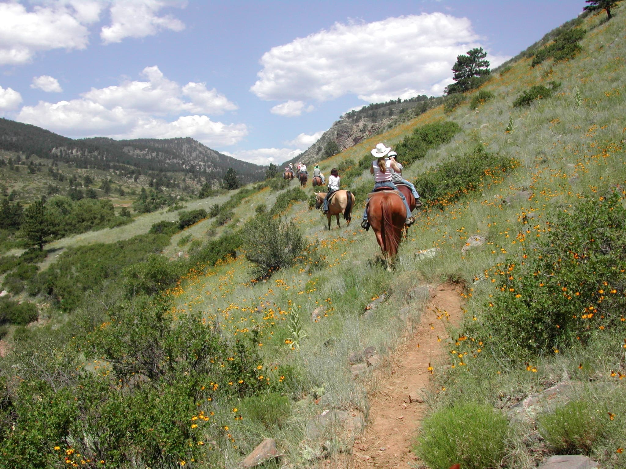 Scenic 1 Hour Trail Ride in Loveland, Colorado