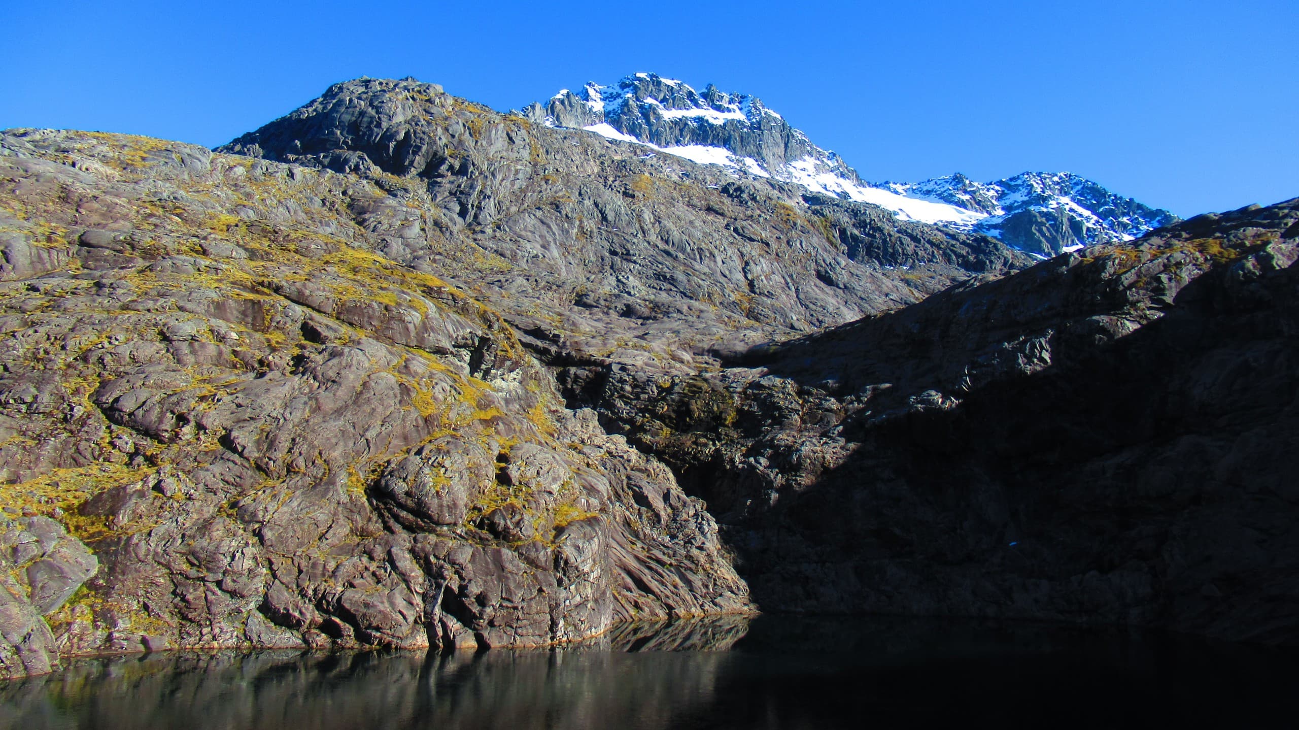 Above Milford Sound: Gertrude Saddle Alpine Trek in Fiordland photo 1