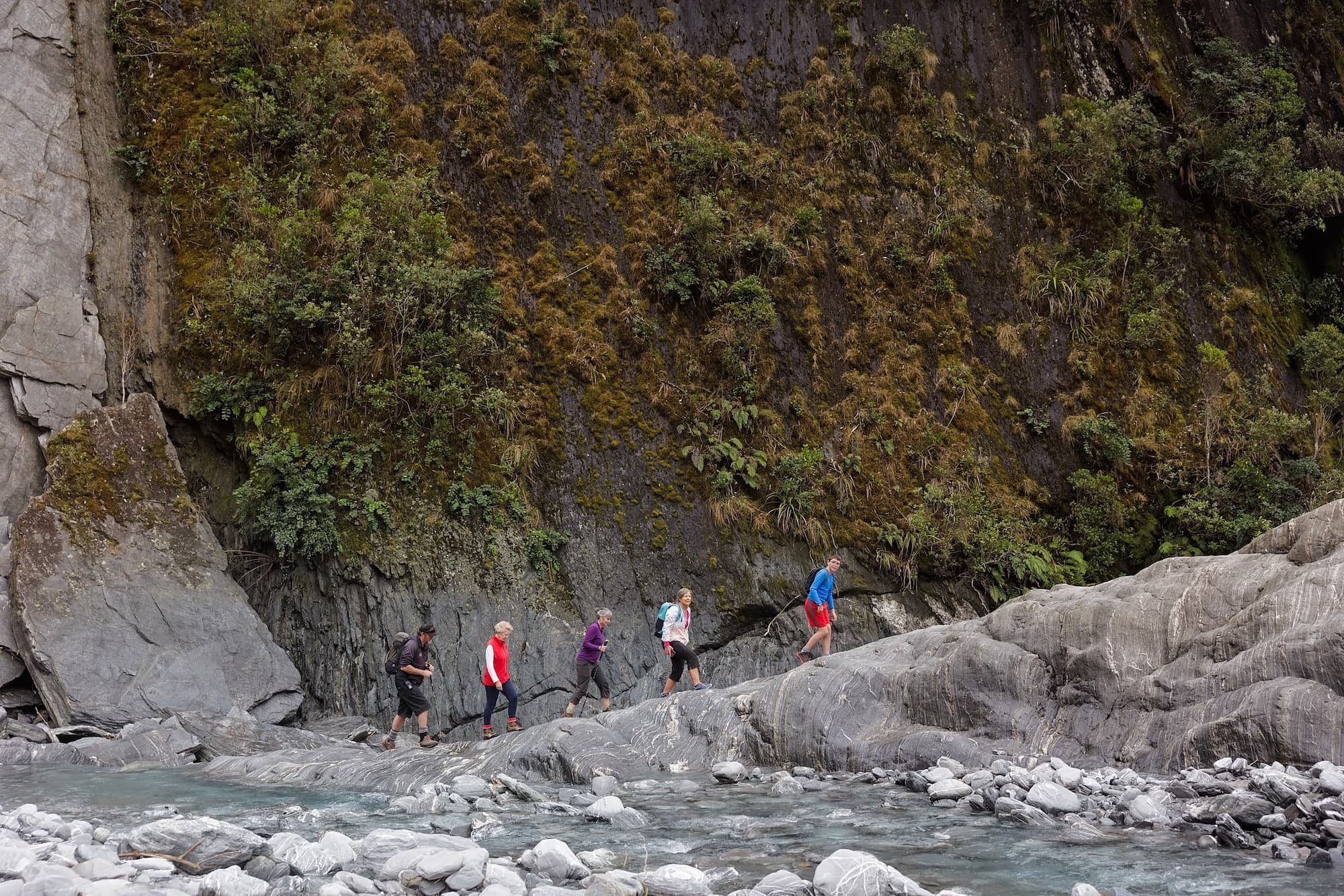 Franz Josef Nature Tour by Glacier Valley Eco Tours