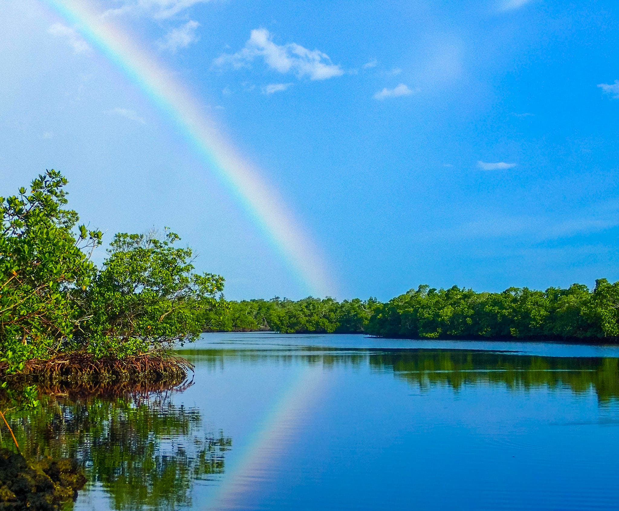 Kayakers paddling under rainbow across calm mangrove lagoon