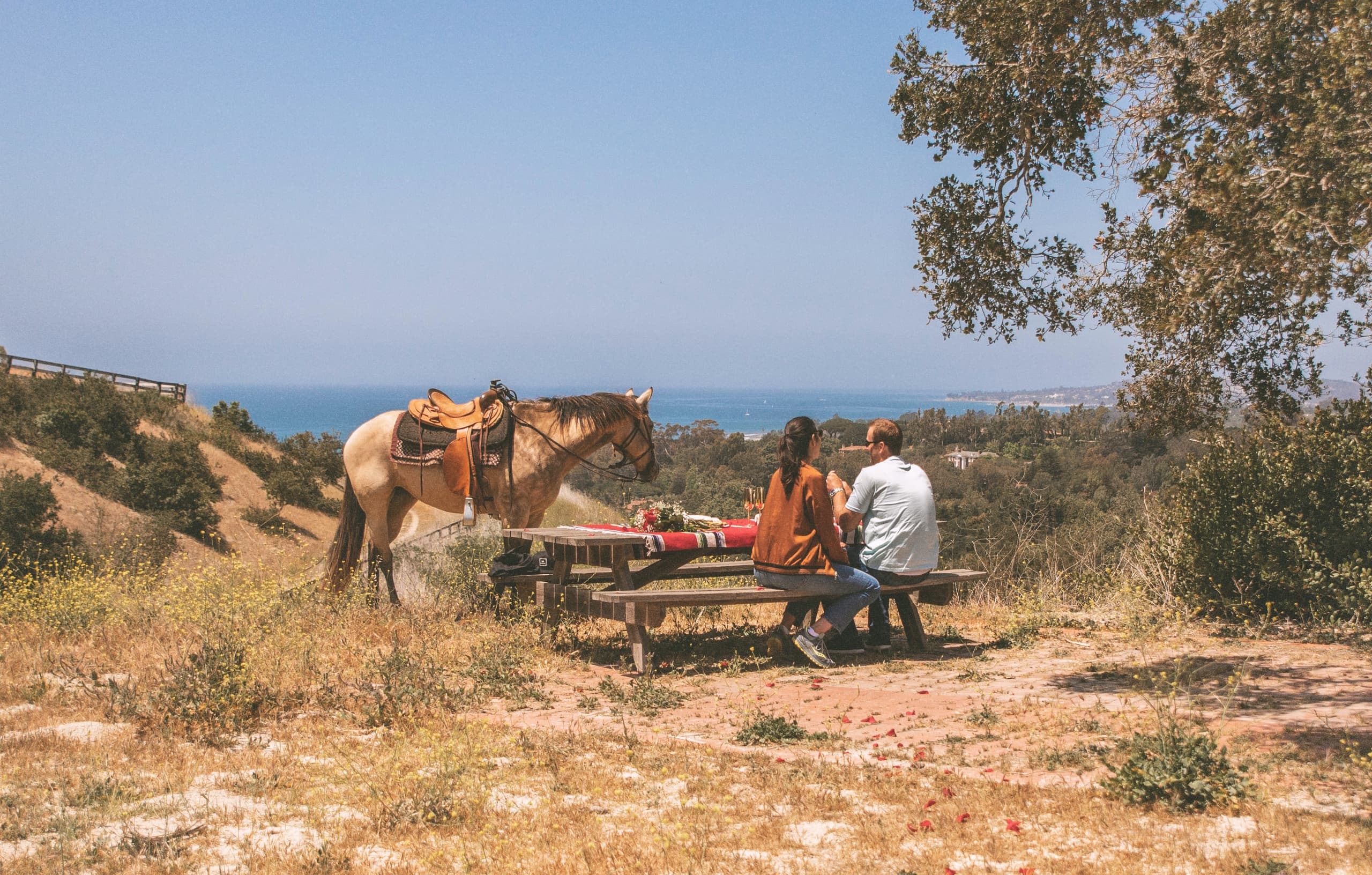 2 ½ Hour Private Trail Picnic Ride in Summerland, CA