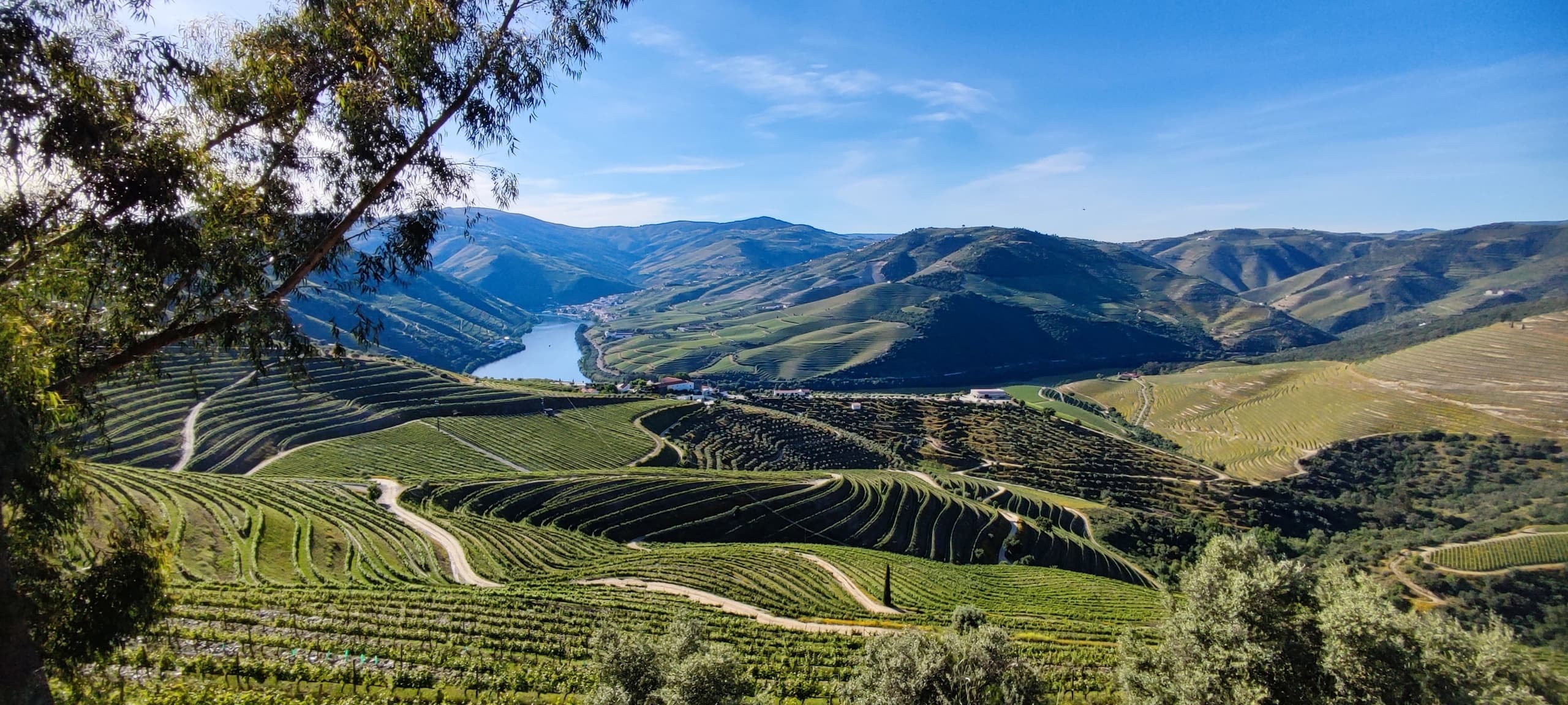 Water Activities & Dourotours: Scenic Douro River & Winery Tour