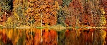 Water Activities & N.Y.C Skyline Tours & Cruises: Fall Foliage Cruise