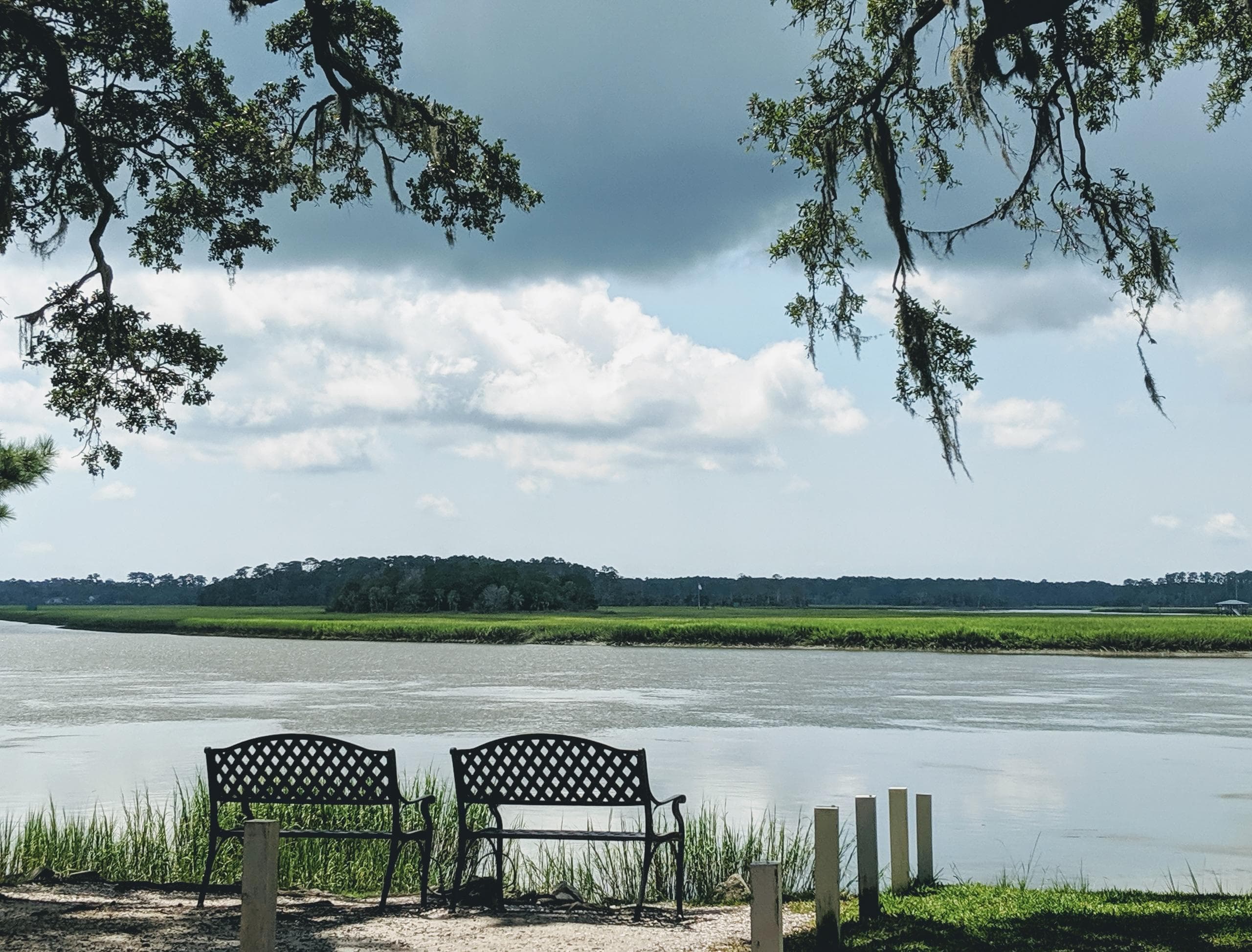 Savannah VIP City Tour: History & Culture Experience