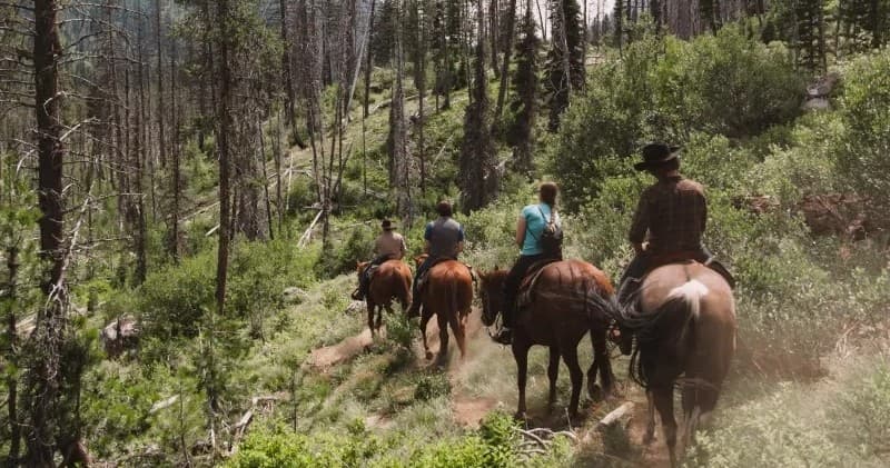 Half Day Horseback Trail Rides in Cascade, Idaho